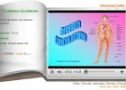 El sistema circulatorio | Recurso educativo 36232