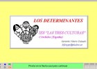 Los determinantes | Recurso educativo 42666