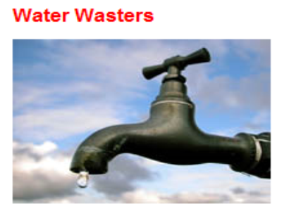 Water wasters | Recurso educativo 45564