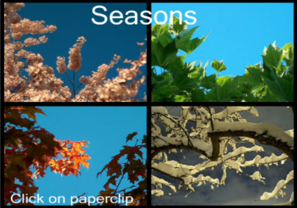 Four seasons | Recurso educativo 45702