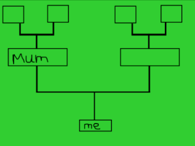 Family tree | Recurso educativo 46991