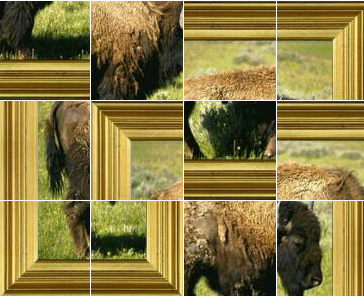Puzzle interactivo: búfalo | Recurso educativo 50618