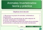 Los animales invertebrados: Teoría y práctica | Recurso educativo 50743