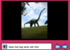 Dinosaurs | Recurso educativo 53810