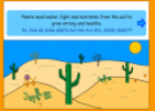 Plants in the desert | Recurso educativo 54809