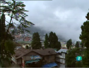 Darjeeling | Recurso educativo 59105
