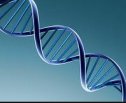 El ADN como sustancia responsable de la herencia | Recurso educativo 61466