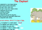 The Elephant | Recurso educativo 10045