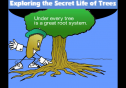 The secret life of trees | Recurso educativo 21793
