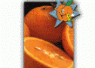 La naranja | Recurso educativo 23639