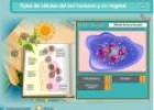 El estudio de las células | Recurso educativo 2367