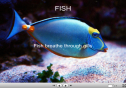 Fish | Recurso educativo 23769