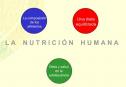 La Nutrición Humana | Recurso educativo 28269