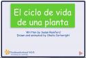 El ciclo de la vida de una planta | Recurso educativo 31662