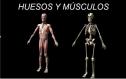 Huesos y músculos | Recurso educativo 32427