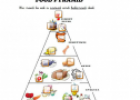 Food pyramid | Recurso educativo 65050