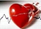 Biología Cardiovascular | Recurso educativo 73179