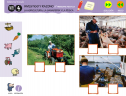 Investigo y razono: La agricultura, la ganadería y la pesca | Recurso educativo 78683