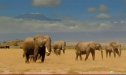Wonderful Africa Wildlife and Landscape | Recurso educativo 85247