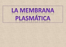 Membrana plasmatica | Recurso educativo 104638