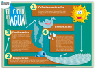 Las fases del ciclo del agua para niños de primaria | Recurso educativo 404140