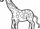 Dibujo imprimible de una jirafa | Recurso educativo 495272