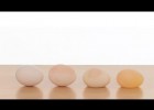 Huevo de goma | Recurso educativo 500138