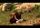 El Amanecer del Hombre-Epis1-Neolitico- 1 de 4 | Recurso educativo 560024
