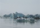 Viatge. Groenlàndia en caiac, l’emoció de remar entre el | Recurso educativo 678075