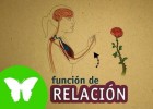 La Eduteca - La función de relación | Recurso educativo 684052