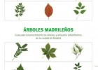 Guía para reconocimiento de árboles y arbustos arboriformes de Madrid | Recurso educativo 688763