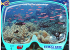 Coral reef adventure | Recurso educativo 725505
