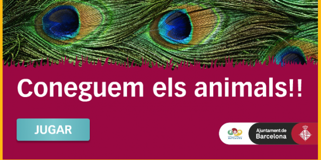 Coneguem els animals!! - Zoo de Barcelona - Ed. Primària | Recurso educativo 725936