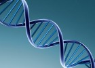4 Bases para un ADN | Recurso educativo 736162