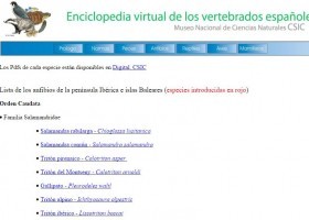 Llista dels amfibis d'Espanya. | Recurso educativo 741864