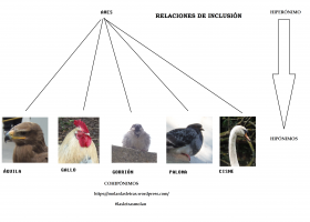 Relaciones de inclusión. | Recurso educativo 743919