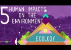 5 Human Impacts on the Environment | Recurso educativo 744918