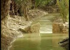 Elx, la cultura de l'aigua - YouTube | Recurso educativo 746285
