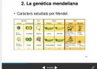Genètica mendeliana. | Recurso educativo 750048
