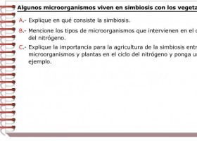 Las bacterias y el ciclo del nitrógeno | Recurso educativo 756148