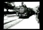 Arrival of a Train at La Ciotat (1896) - LOUIS LUMIERE - L'Arrivee d'un Train | Recurso educativo 724717