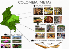 COLOMBIA | Recurso educativo 767112
