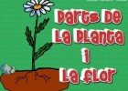 Parts de la planta i la flor. | Recurso educativo 768685