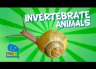 Invertebrate animals and their classification | Recurso educativo 773694