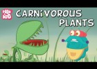 Les plantes carnivores | Recurso educativo 774661