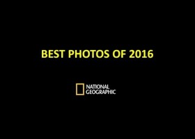 Photographs of National Geographic | Recurso educativo 777603