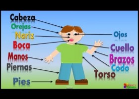 Las partes del cuerpo humano | Recurso educativo 781085