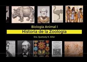Historia de la Zoología | Recurso educativo 783189