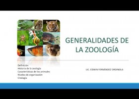 Generalidades de la Zoología | Recurso educativo 783190
