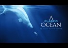 A Plastic Ocean | Recurso educativo 788283
